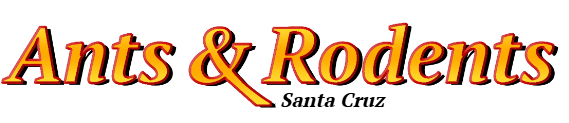 Santa Cruz Ant Exterminator & Rodent Control Company Logo